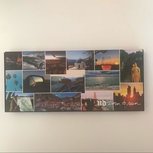 Urban Decay Born to run palette